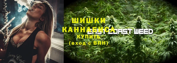 амф Алзамай