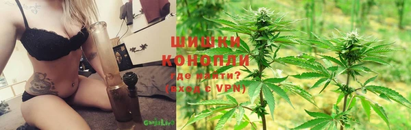 амф Алзамай