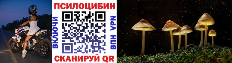 Псилоцибиновые грибы мицелий магазин Звенигово